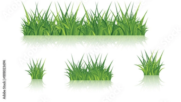 Fototapeta Realistic Green Grass Illustration Set with Different Clumps and Borders
