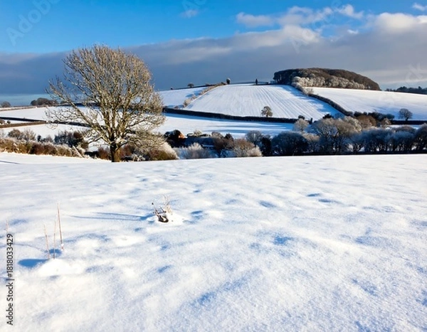 Obraz Snowy fields and hills under a clear blue sky, with a leafless tree in the foreground. Sunlight accents the frosty terrain