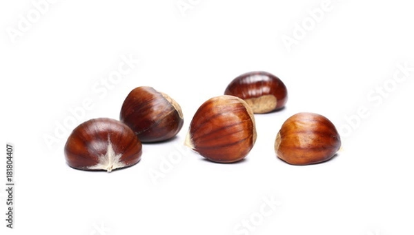 Fototapeta Pile edible chestnut isolated on white background