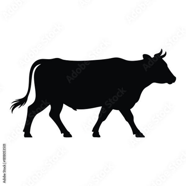 Fototapeta Cow walking Vector, Silhouette, Illustration