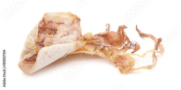 Obraz Dried squid isolated on white background