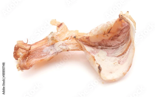 Obraz Dried squid isolated on white background