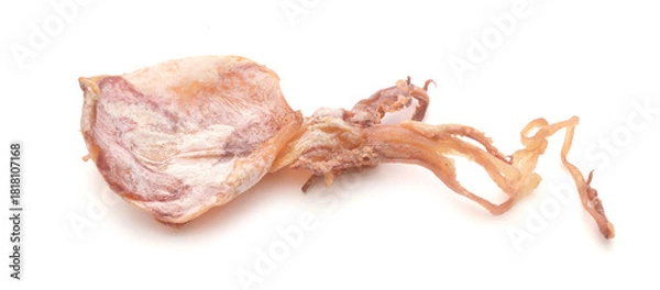 Obraz Dried squid on white background 