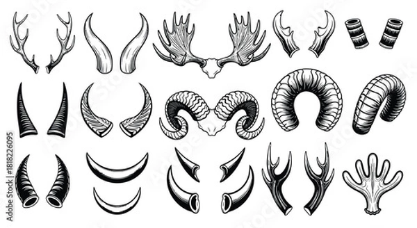Fototapeta Antler horn vector set collection drawing sketch illustration