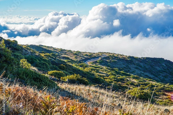 Obraz Haleakala Mountain