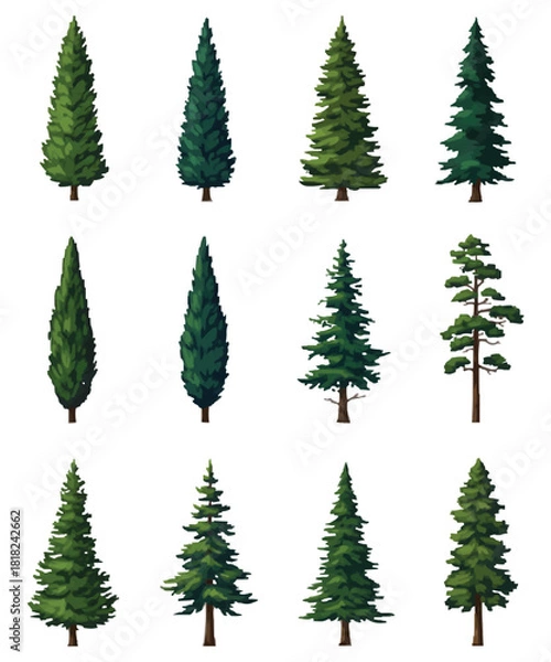 Obraz Tree Vector Collection: High-Quality Nature Illustrations, Tall Tree Vector Bundle