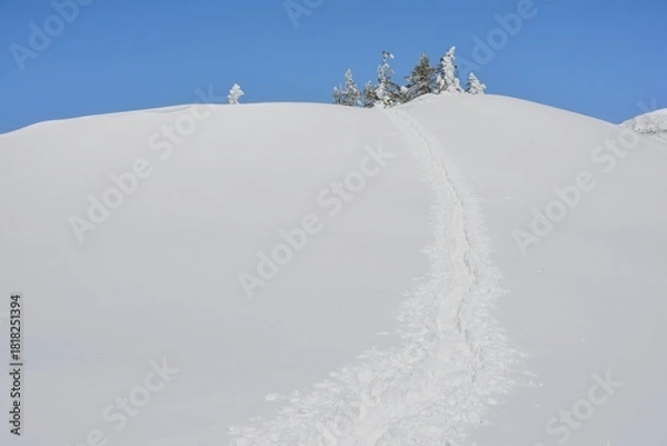 Fototapeta 雪山のトレース