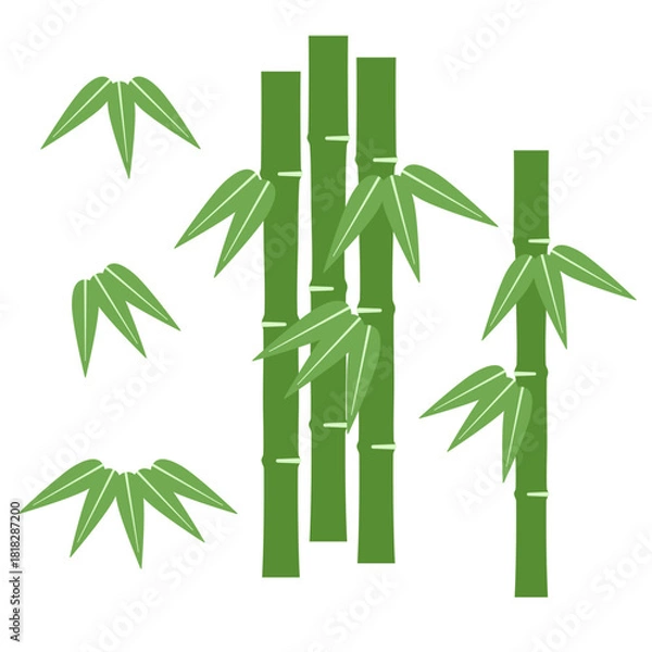 Obraz Set of Green Bamboo Stalks with Leaves for poster, card, banner and more for asian style design.
