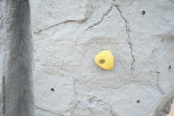 Obraz Mur d'escalade prises climbing holds