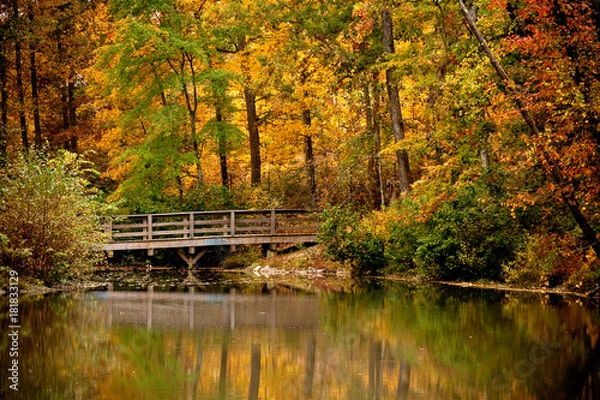 Obraz Autumn Reflection