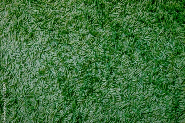 Fototapeta Greened color carpet texture - Green carpet