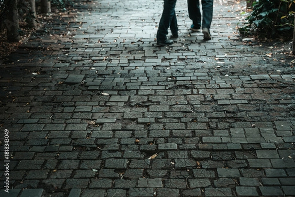 Fototapeta Wooden Pathway Texture Outdoors. Design, architecture, idea, concept