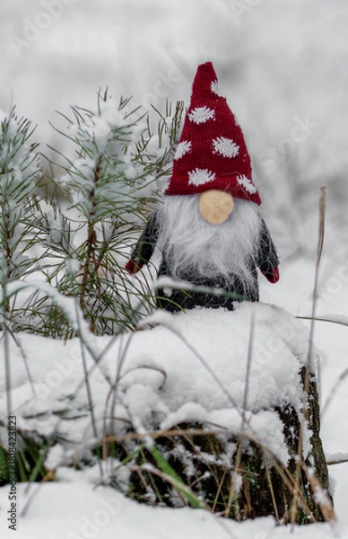 Fototapeta Funny, bearded gnomes in a snowy forest. Waiting for Christmas and New Year.