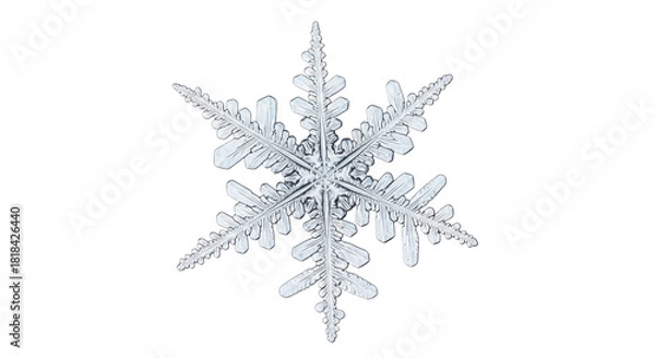Obraz A highly detailed close-up of a single, intricate hexagonal snowflake with delicate crystalline arms.