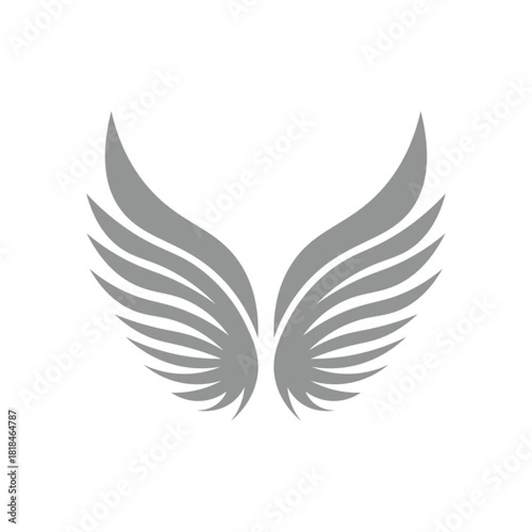 Fototapeta Wing Illustration