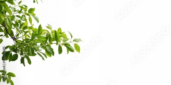 Fototapeta Painting in brown and grey abstraction creating a textured background for visual layouts