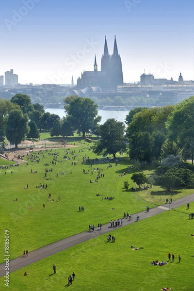 Fototapeta köln