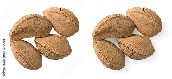 Obraz In-sell Brazil nut isolated on the white background, top view.