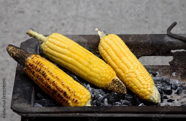 Obraz Young corn kernels grilled over charcoal are delicious.