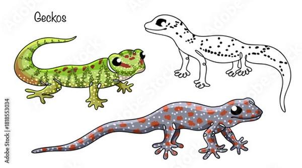 Obraz Geckos