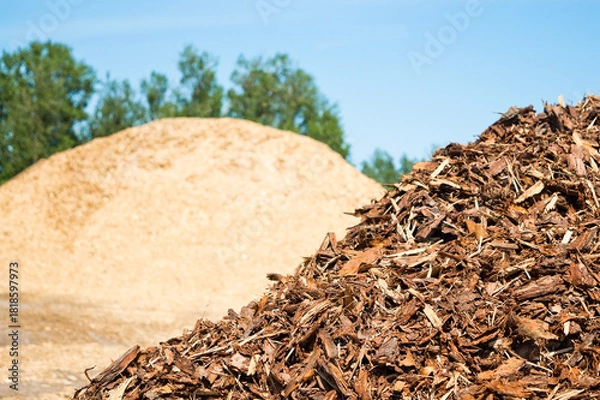 Obraz mountains of wood chips against a backdrop of blue sky and green trees