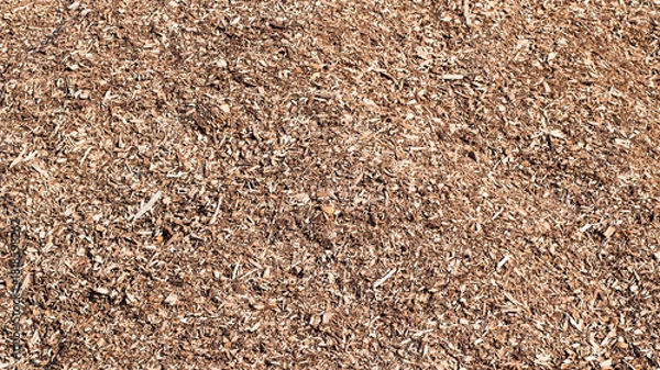 Obraz wood background, close-up of wood chips in the photo