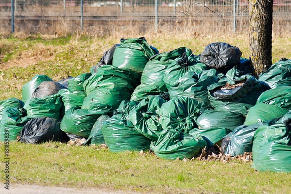 Fototapeta green plastic bags with garbage on the grass after cleaning