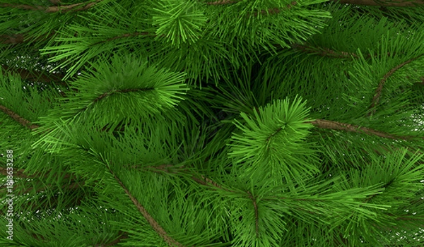 Fototapeta Close up view of green pine branches with shallow depth of field