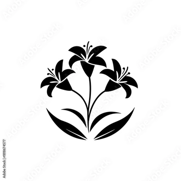 Fototapeta Illustration of three lilies with leaves in black and white on transparent background silhouette