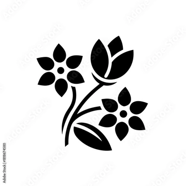 Fototapeta Illustration of three flowers with stems and a leaf on transparent background silhouette