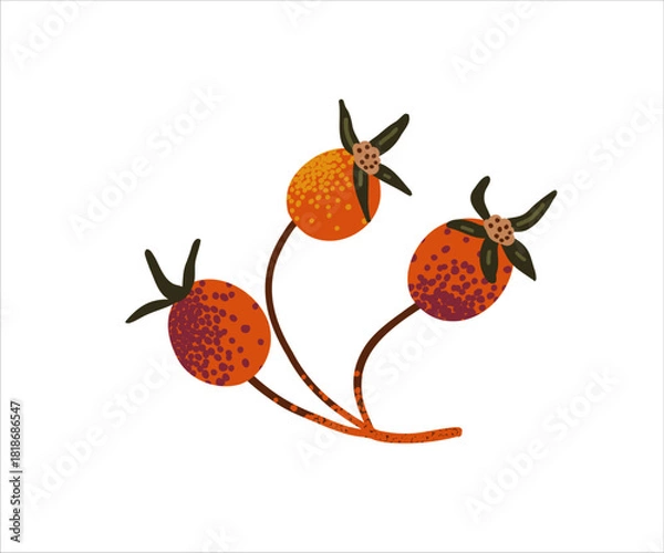 Fototapeta A flat branch with dog-rose berries. Cartoon twig with autumn berries drawn by hand.