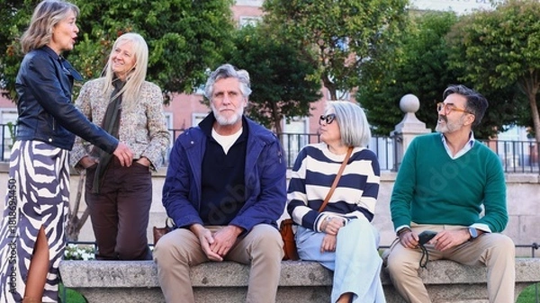 Obraz Group of senior friends relaxing and talking in park