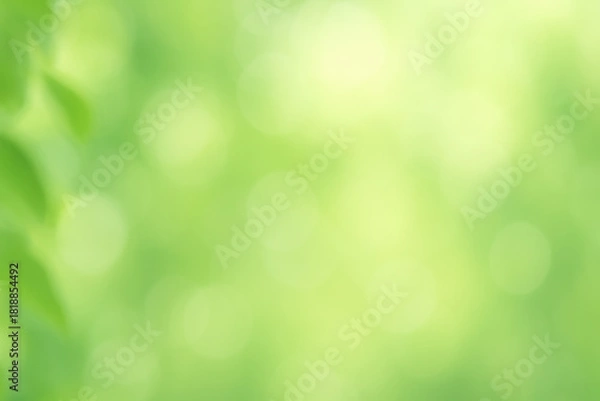 Fototapeta Bright green abstract background with soft light bokeh circles and subtle leaf detail