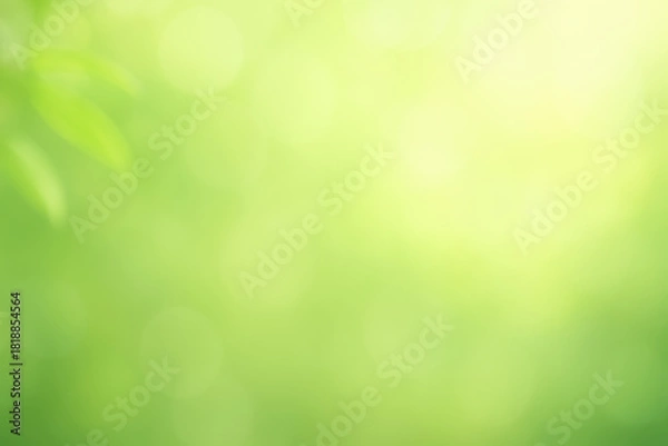 Fototapeta Soft focus natural green background with bright sunlight creating bokeh circles and subtle leaf shapes