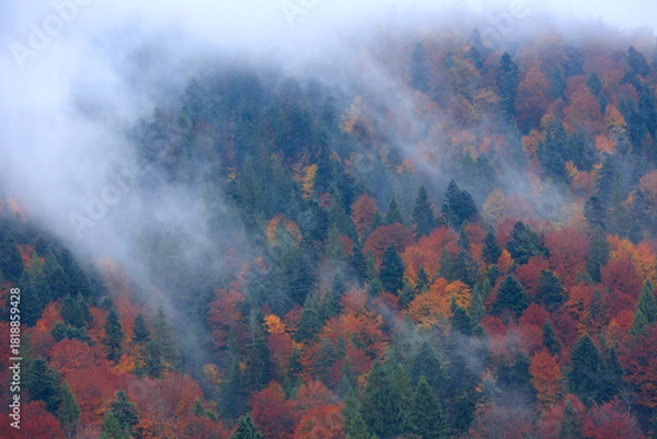 Obraz mist in Carpathians