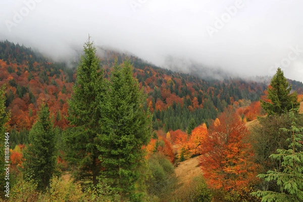 Obraz autumn in Carpathians