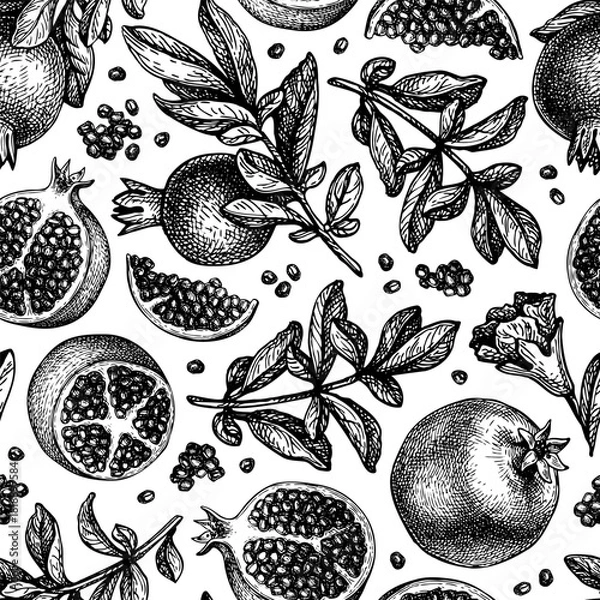 Fototapeta Pomegranate seamless pattern. Ink sketch.
