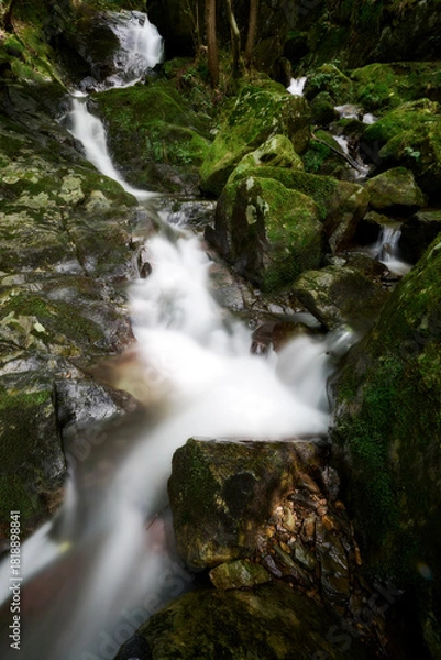 Obraz 黒岩の滝の風景