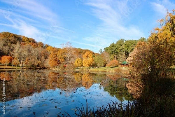 Obraz autumn trees reflected in water