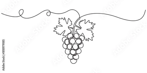 Obraz Continuous one line drawing of a bunch of grapes,  representing elegance and natural sweetness, line art style vector illustration, Bunch of grapes. Minimalist line drawing, one continuous line, pro.