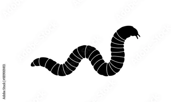 Obraz Silhouette of a segmented earthworm slithering in a wavy line against a white background, suitable for nature and biology themes
