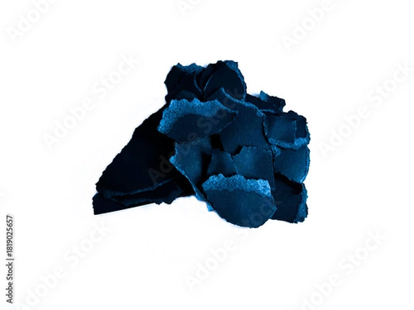 Obraz Black Torn Paper Edge Texture on White Background