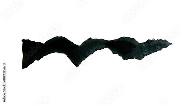 Obraz Black Torn Paper Edge Texture on White Background
