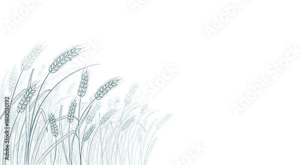 Fototapeta Stylized line art illustration of a wheat field with grain stalks gently swaying in the wind against a white background.