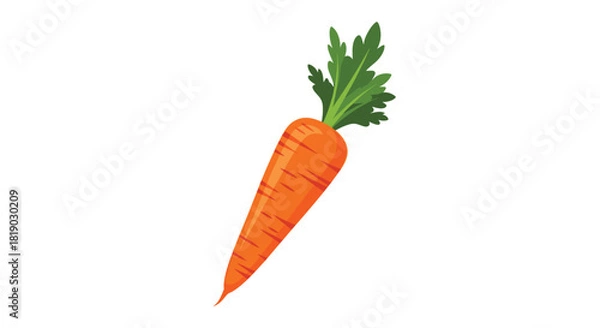 Fototapeta A bright orange carrot with green foliage, depicted in an upright, slightly angled position, isolated on a clean white background.