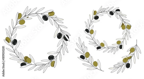 Fototapeta Hand-drawn olive branch wreaths and individual sprigs with green and black olives, perfect for rustic Mediterranean designs.