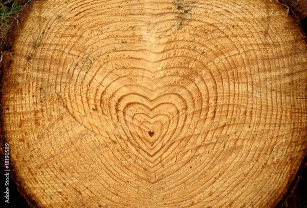 Obraz roczne pierścienie serca