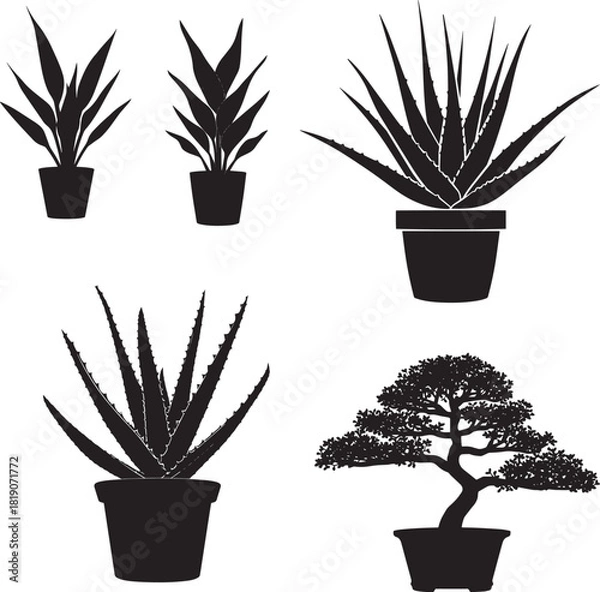 Obraz Plant Vector Illustration – Simple Botanical Artwork