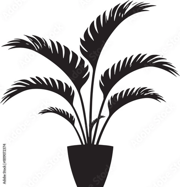 Fototapeta Set of Palm Trees Vector – Tropical Silhouette Illustration