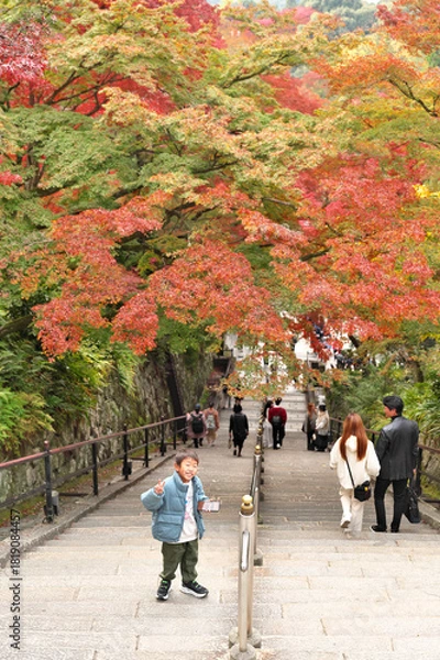 Obraz 紅葉と少年